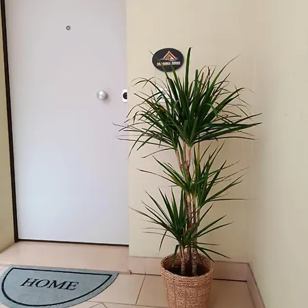 San Carlo House *