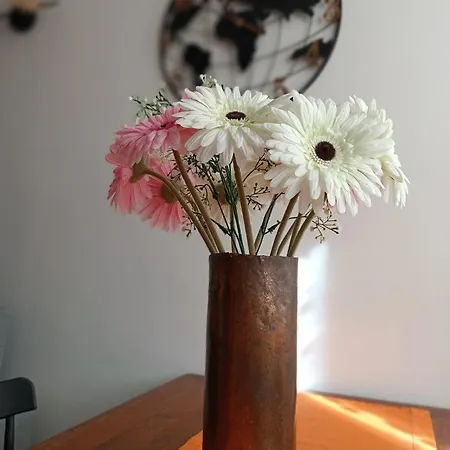 شقة San Carlo House Castel Guelfo Di Bologna